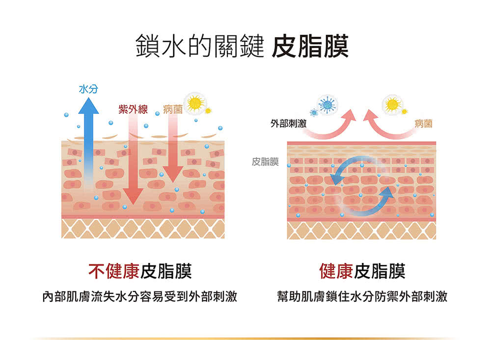 內部肌膚流失水分容易受到外部刺激