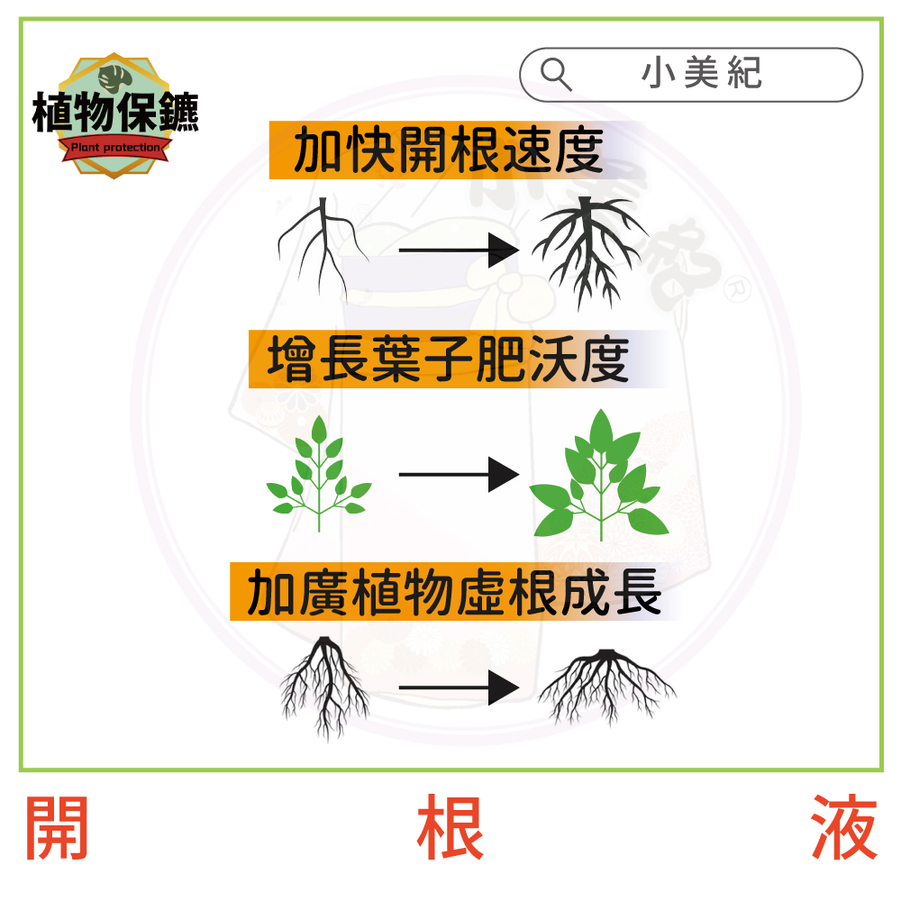 植物保鑣 Q 小美紀 加快開根速度 增長葉子肥沃度 加廣植物虚根成長