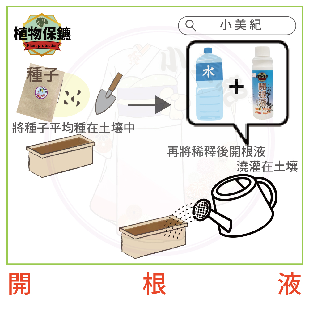 將種子平均種在土壤中