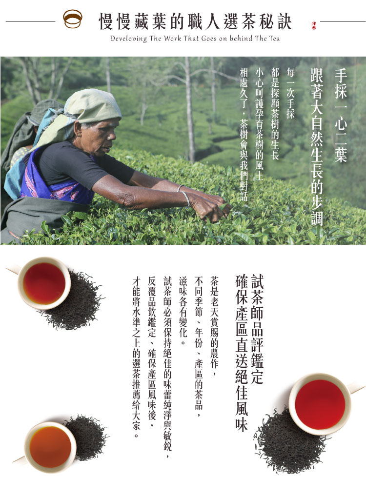 試茶師必須保持絕佳的味蕾純淨與敏銳,