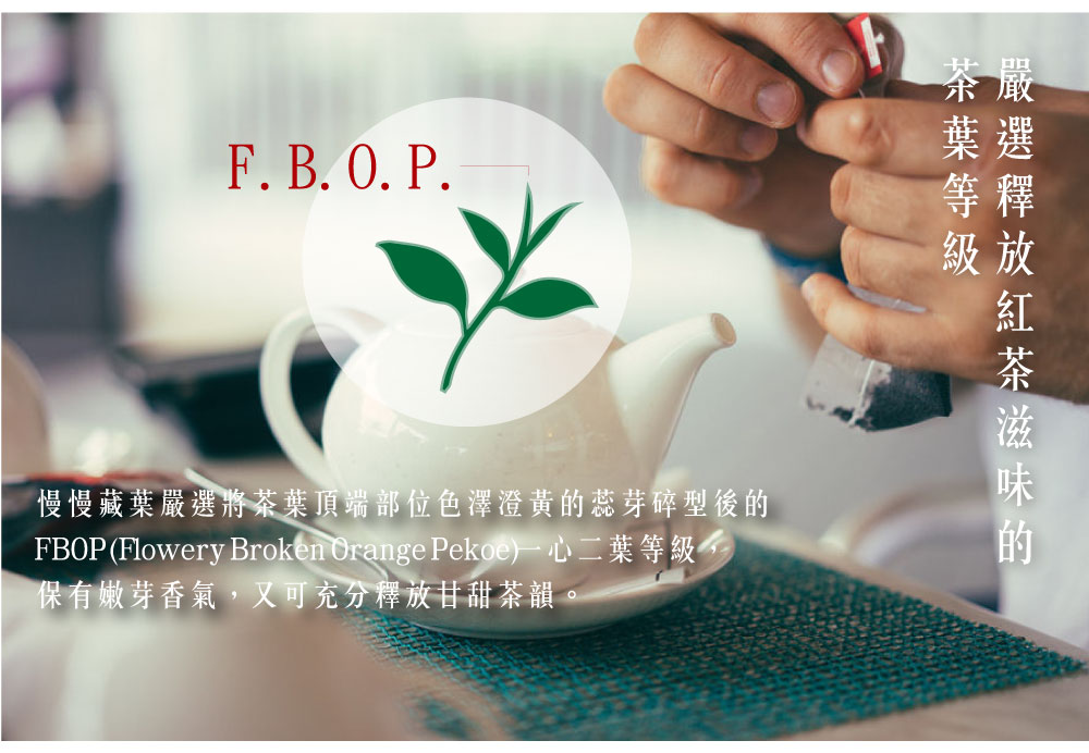 保有嫩芽香氣,又可充分釋放甘甜茶韻。