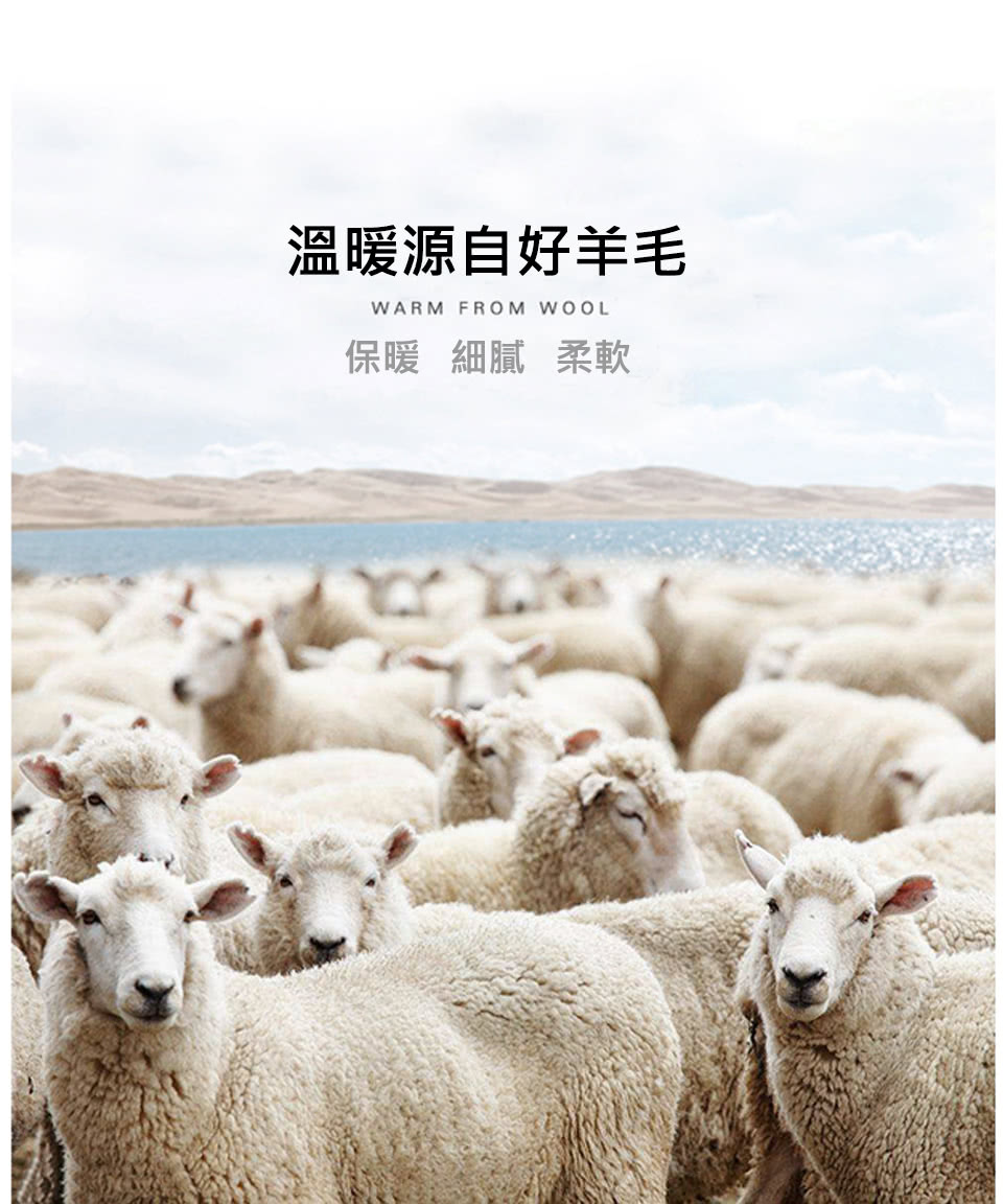 æº«ææºèªå¥½ç¾æ¯ ä¿æç´°è©æè» 