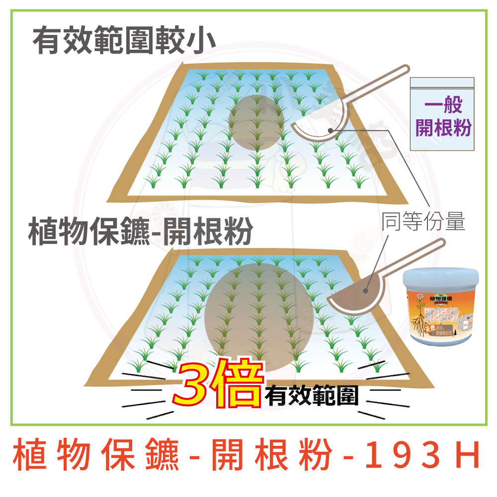 æ¤ç©ä¿é£  éæ ¹ç²  193 H
