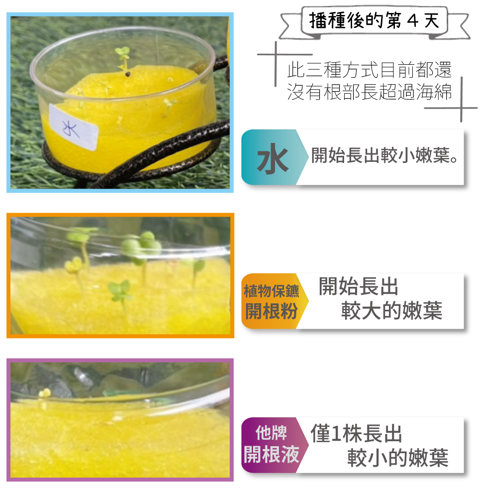 æ°´ éå§é·åºè¼å°å«©èã
