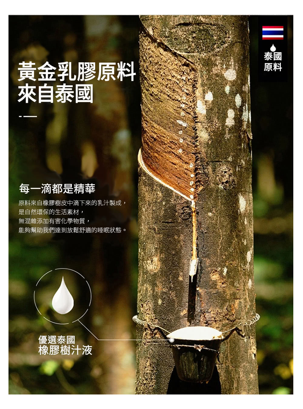 原料來自橡膠樹皮中滴下來的乳汁製成,