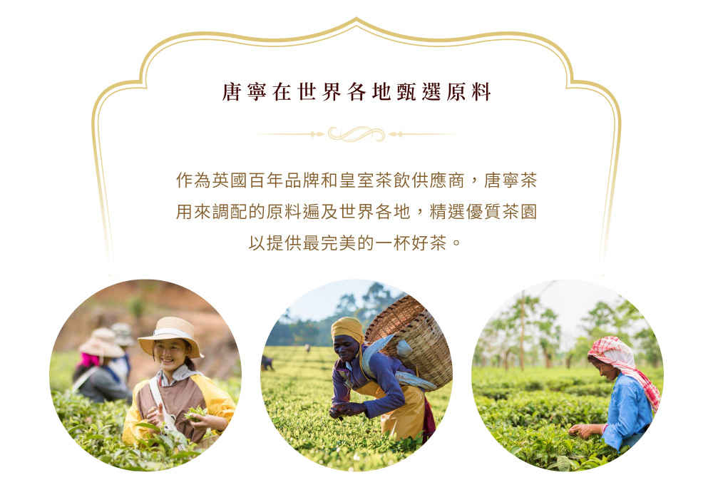 唐寧在世界各地甄選原料 作為英國百年品牌和皇室茶飲供應商,唐寧茶 用來調配的原料遍及世界各地,精選優質茶園 以提供最完美的一杯好茶。 