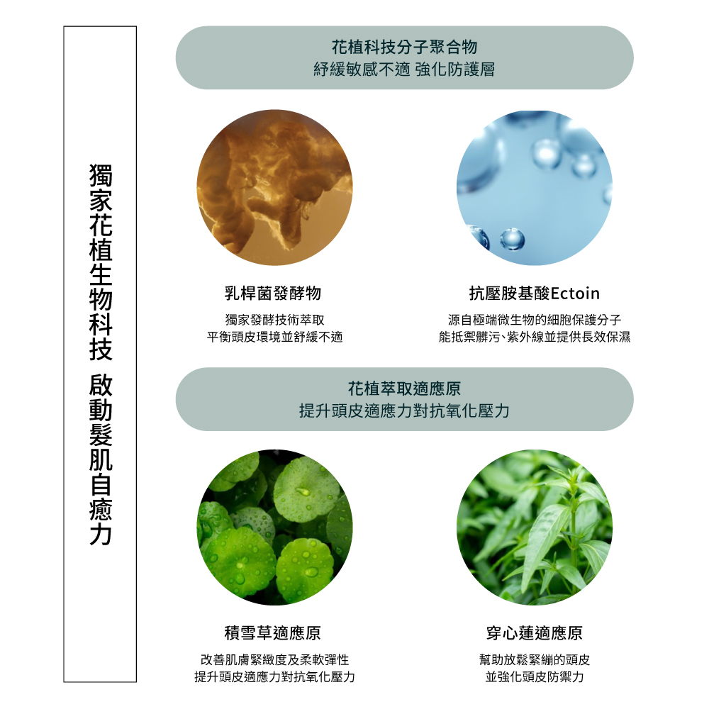 獨家花植生物科技 啟動髮肌自癒力