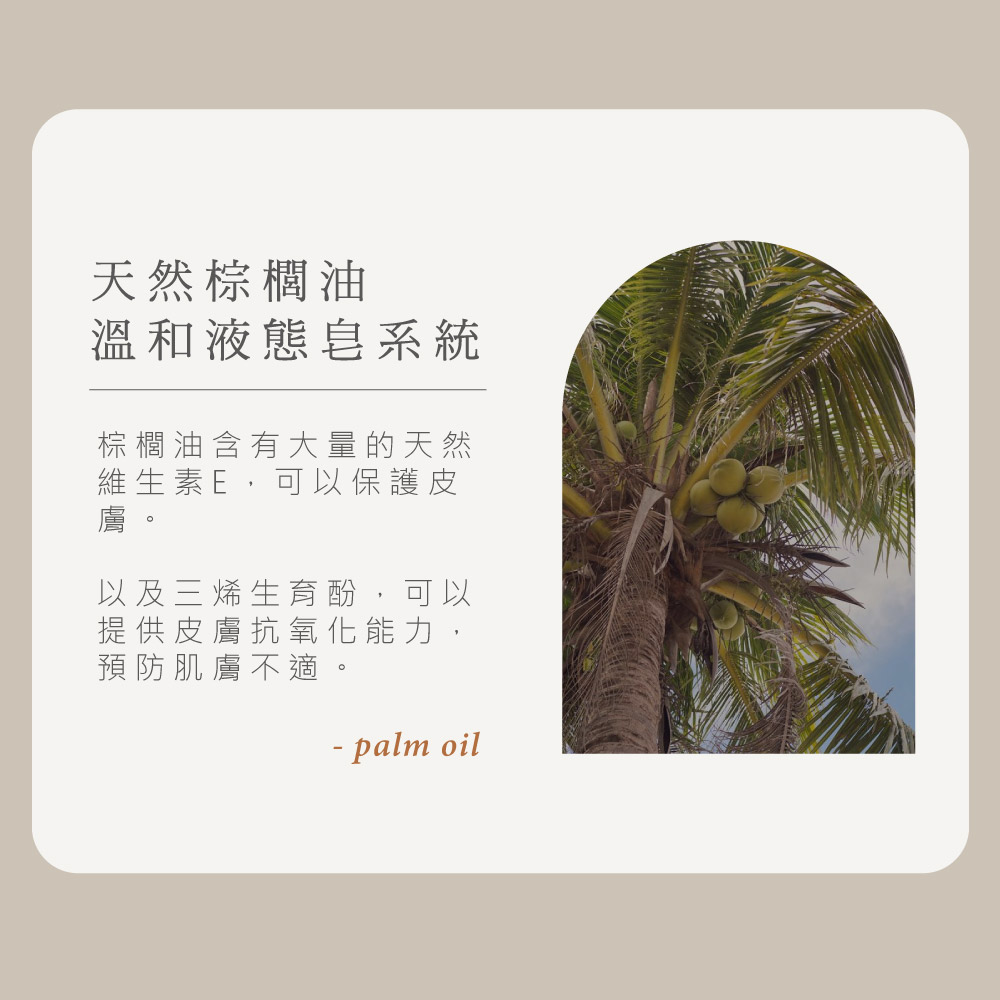 棕櫚油含有大量的天然