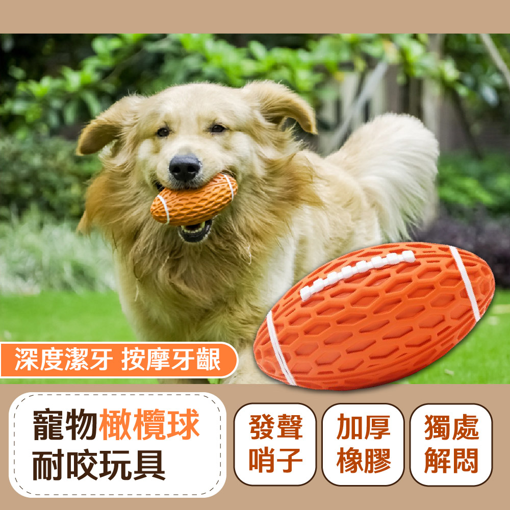 深度潔牙 按摩牙齦