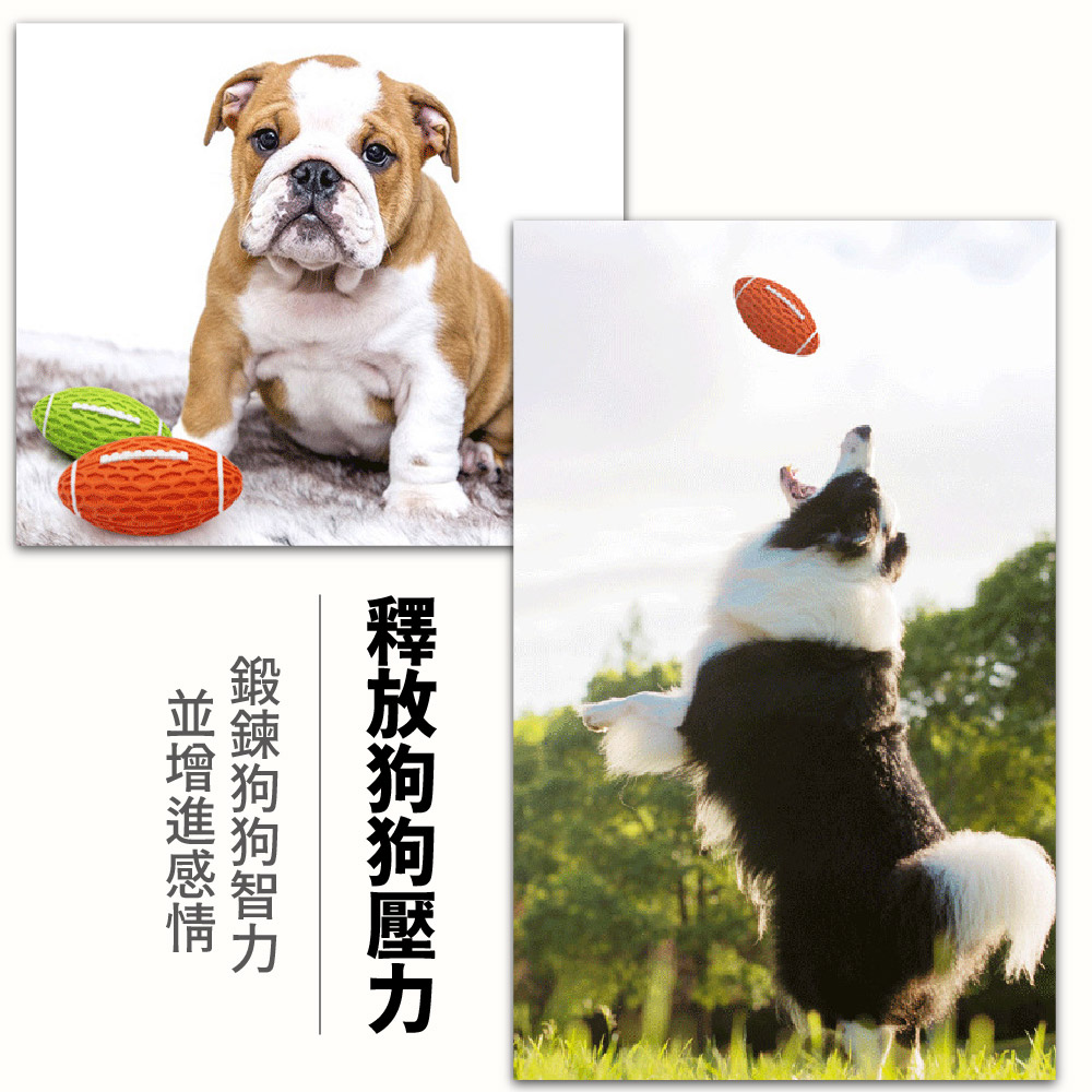 釋放狗狗歴力 鍛錬狗狗智力 並増進感情 