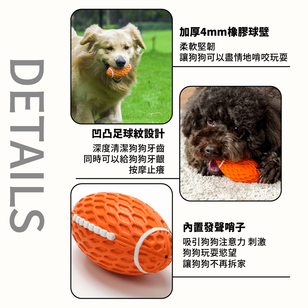 讓狗狗可以盡情地啃咬玩耍
