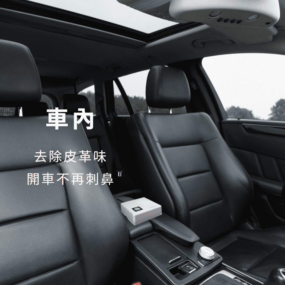 è»å§ å»é¤ç®é©å³ éè»ä¸ååºé¼» 