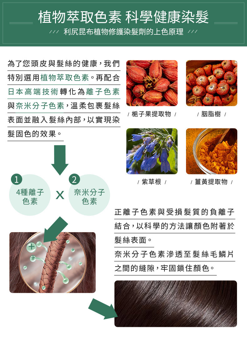 利尻昆布植物修護染髮劑的上色原理