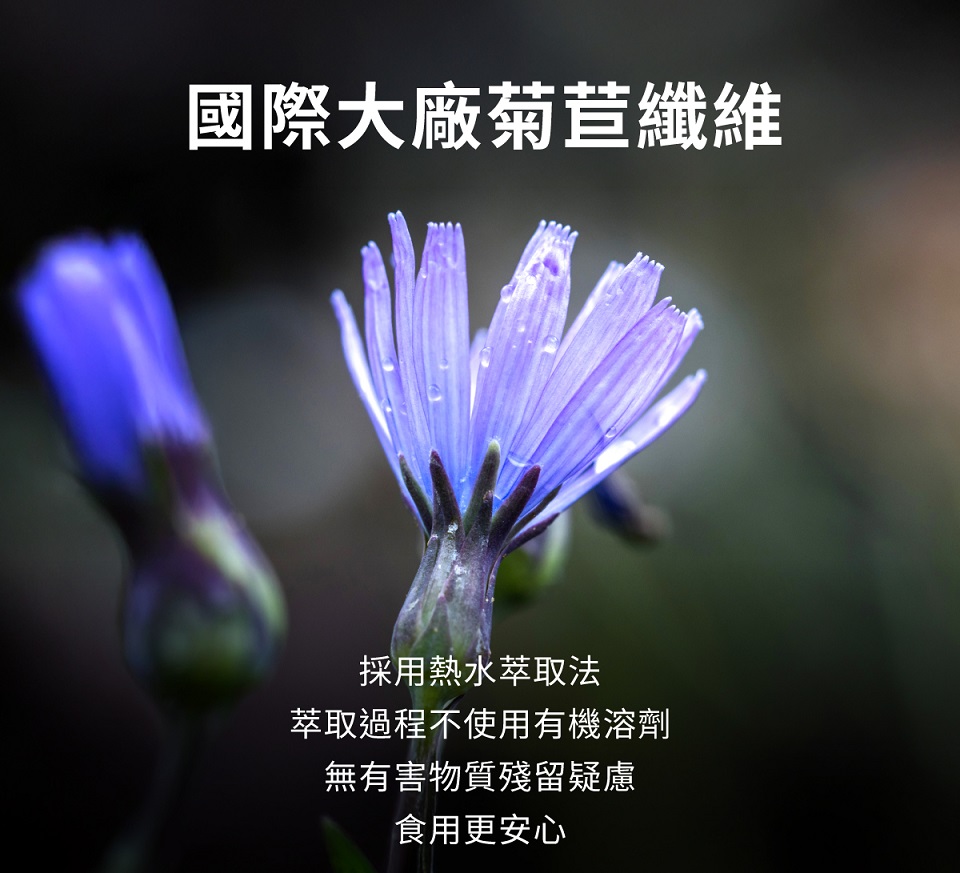 國際大廠菊苣纖維 採用熱水萃取法 萃取過程不使用有機溶劑 無有害物質殘留疑慮 食用更安心 