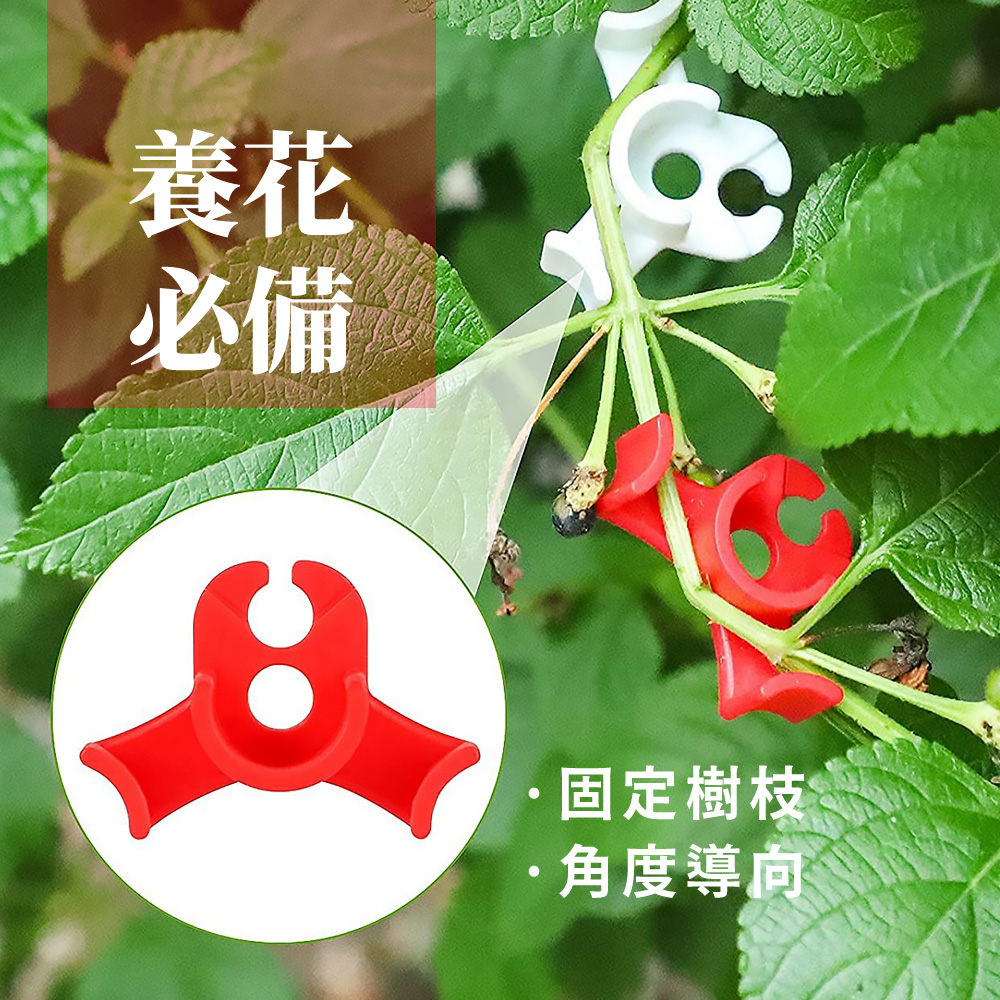 é¤è± å¿å åºå®æ¨¹æ è§åº¦å°å 