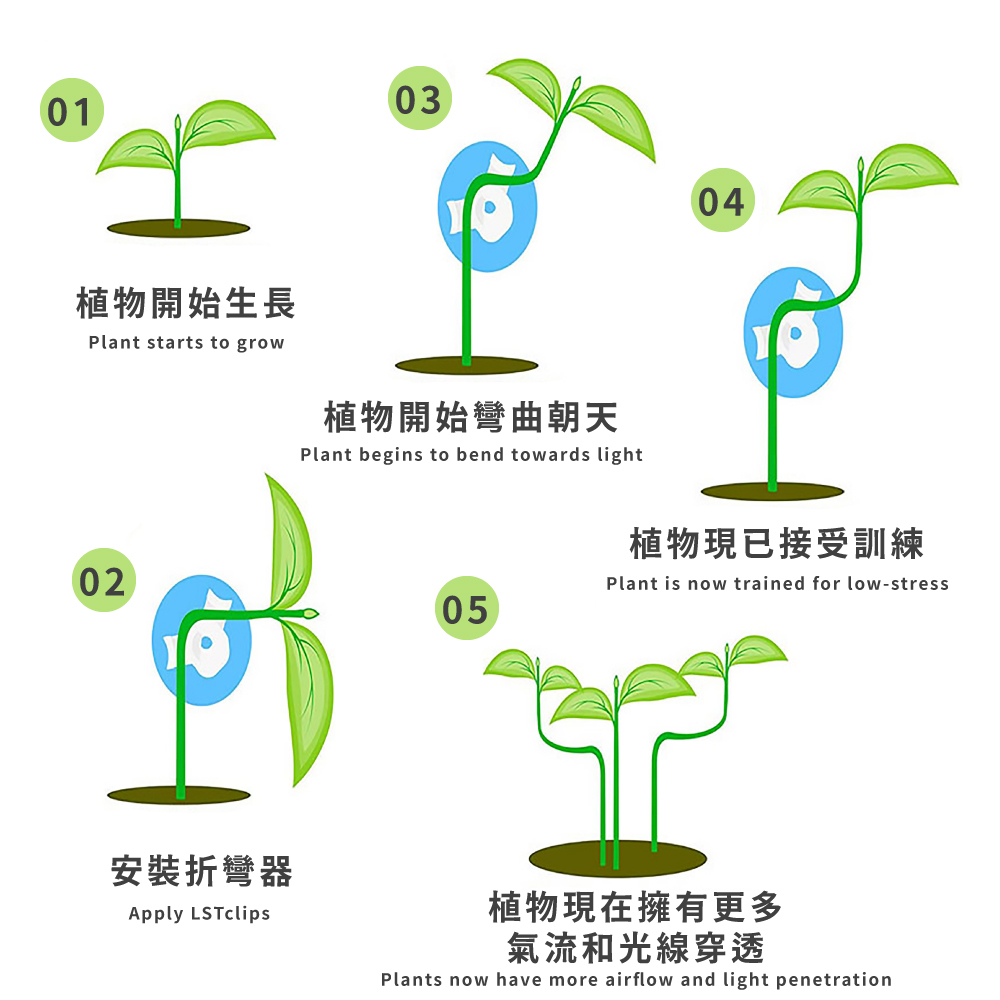 æ¤ç©éå§å½æ²æå¤©