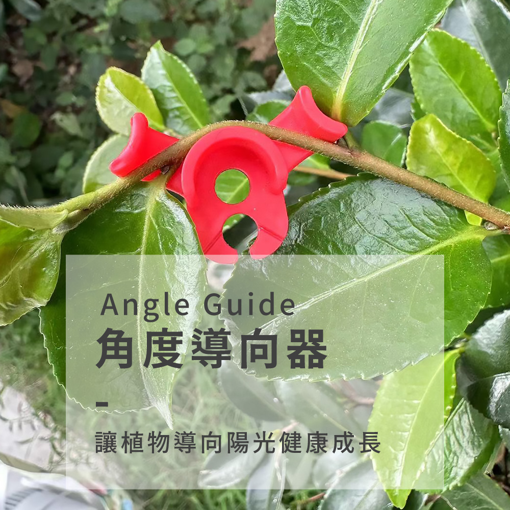 è§åº¦å°åå¨ è®æ¤ç©å°åé½åå¥åº·æé· 
