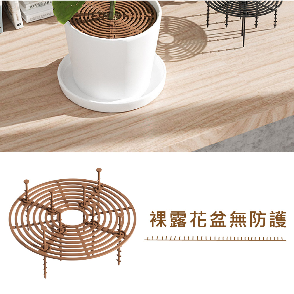 è£¸é²è±çç¡é²è­· 