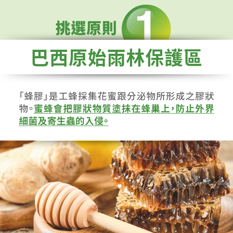 挑選原則 巴西原始雨林保護區 蜂膠是工蜂採集花蜜跟分泌物所形成之膠狀 物。蜜蜂會把膠狀物質塗抹在蜂巢上,防止外界 細菌及寄生蟲的入侵。 