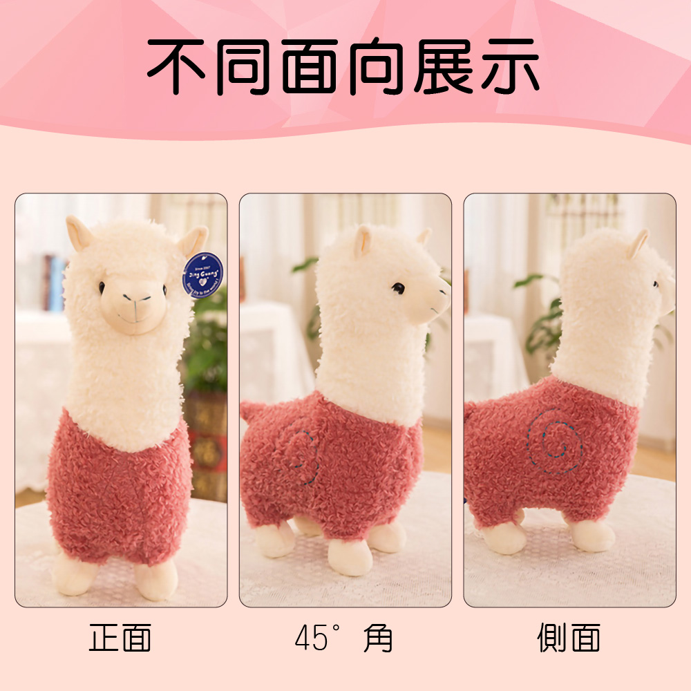 不同面向展示 正面 45角 側面 