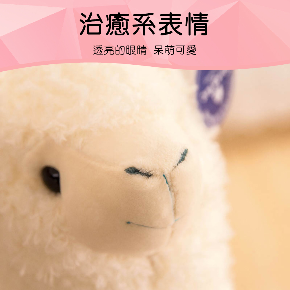 治癒系表情 透亮的眼睛 呆萌可愛 