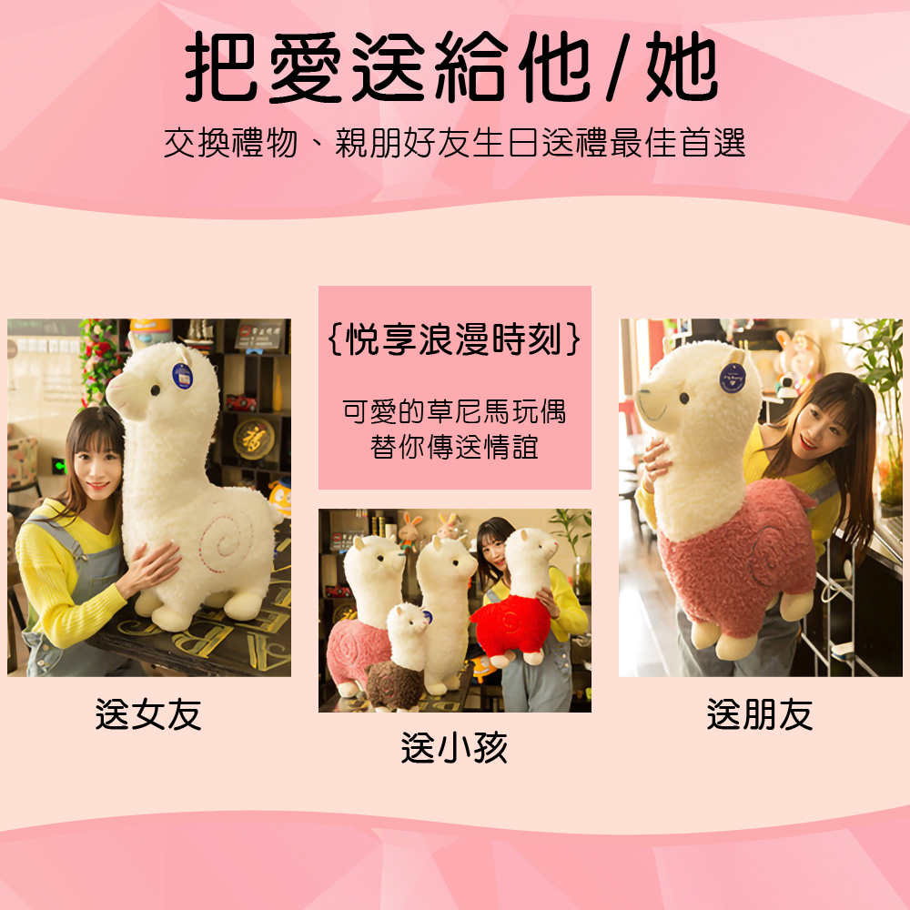 交換禮物、親朋好友生日送禮最佳首選