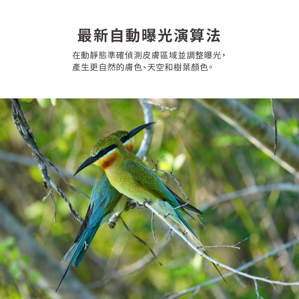最新自動曝光演算法 在動靜態準確偵測皮膚區域並調整曝光, 產生更自然的膚色、天空和樹葉顏色。 