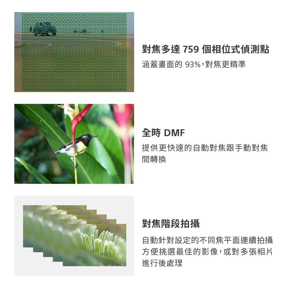 對焦多達 759 個相位式偵測點