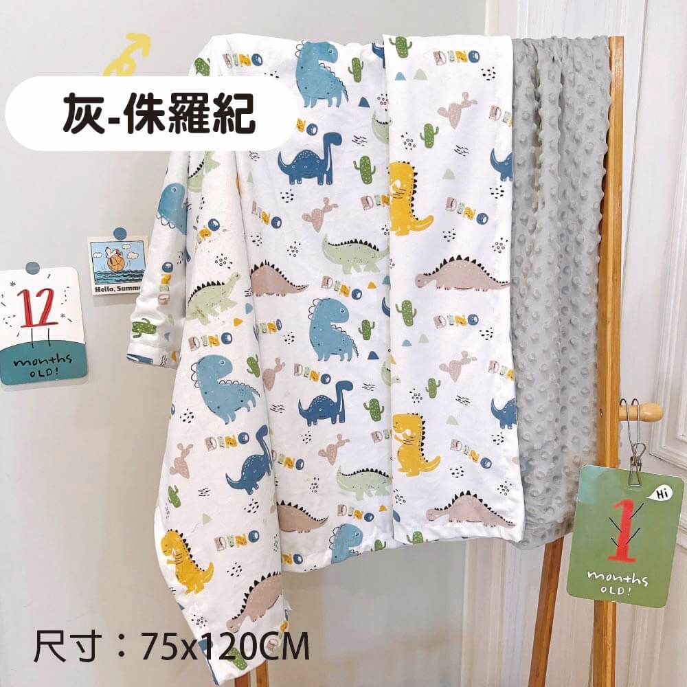 灰侏羅紀 尺寸75x120CM 