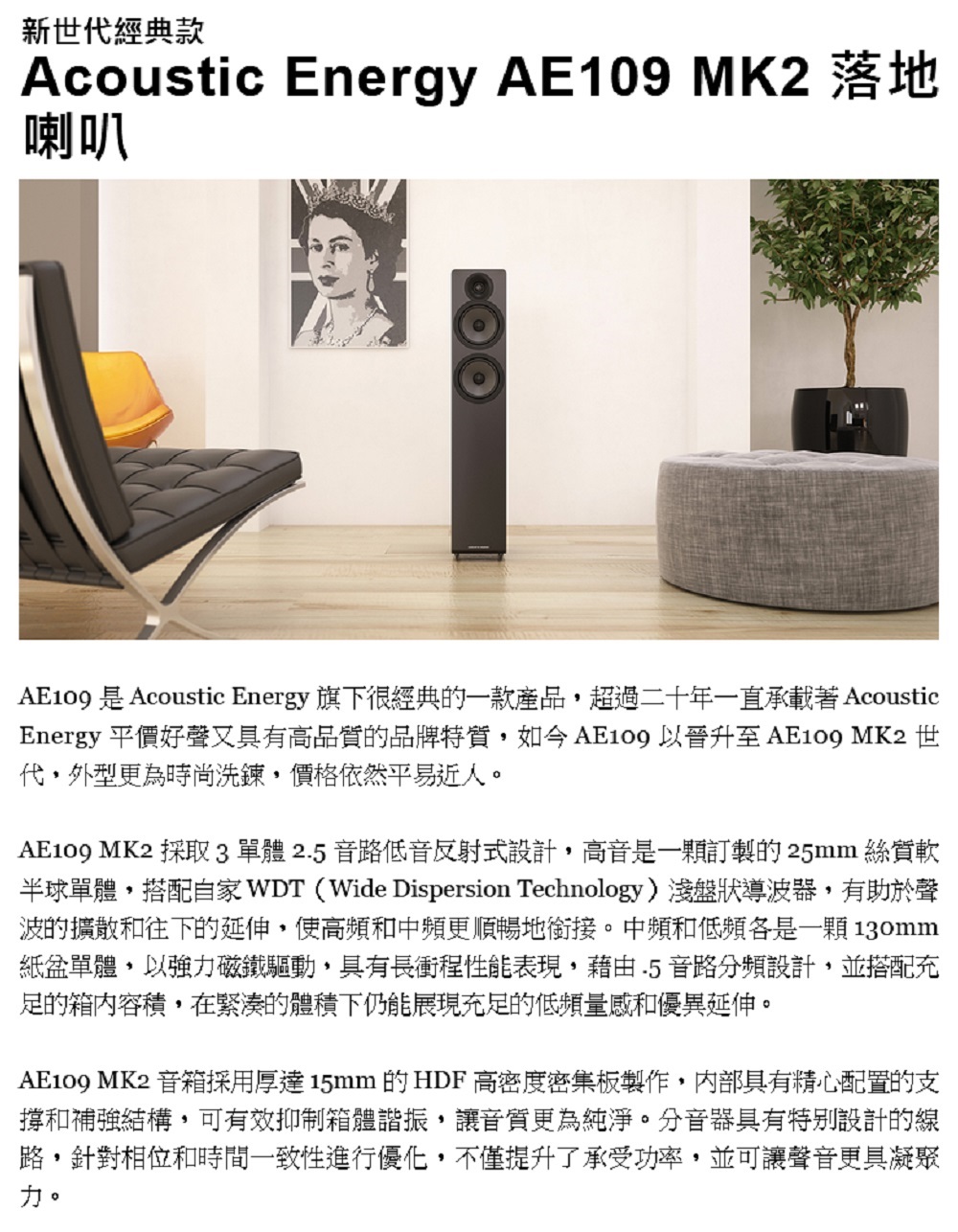 Acoustic Energy 109 MK2 - 詳情2