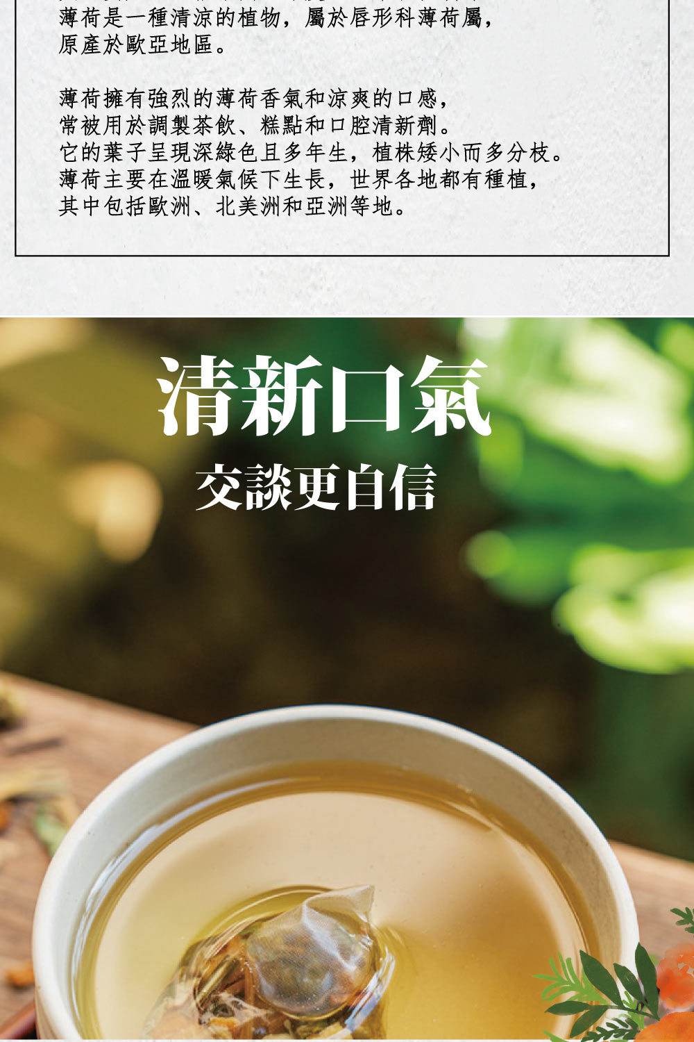它的葉子呈現深綠色且多年生,植株矮小而多分枝。