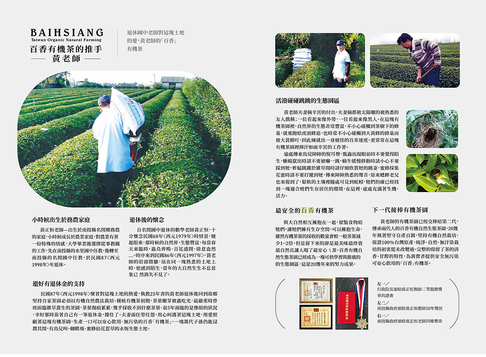 經面臨雜草叢生的茶園,茶葉傷痕累累,幾乎採收不到什麼茶葉,前5年面臨的是慘賠的狀況