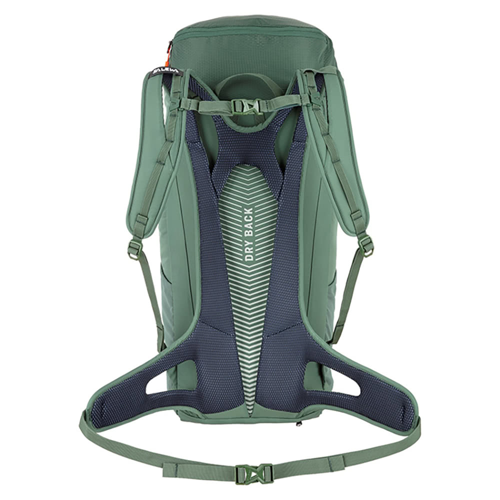 SALEWA ALP MATE 36L 登山背包 男 鴨綠色