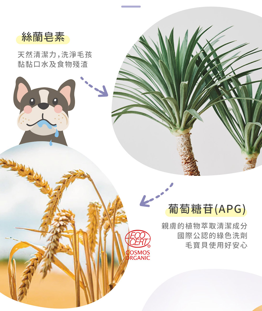 親膚的植物萃取清潔成分