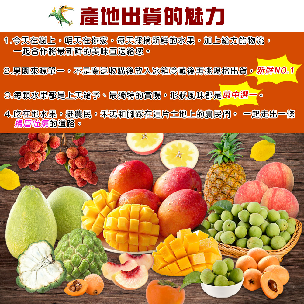 禾鴻 麻豆老欉大白柚30斤x1箱(12-18顆/箱-SGS+
