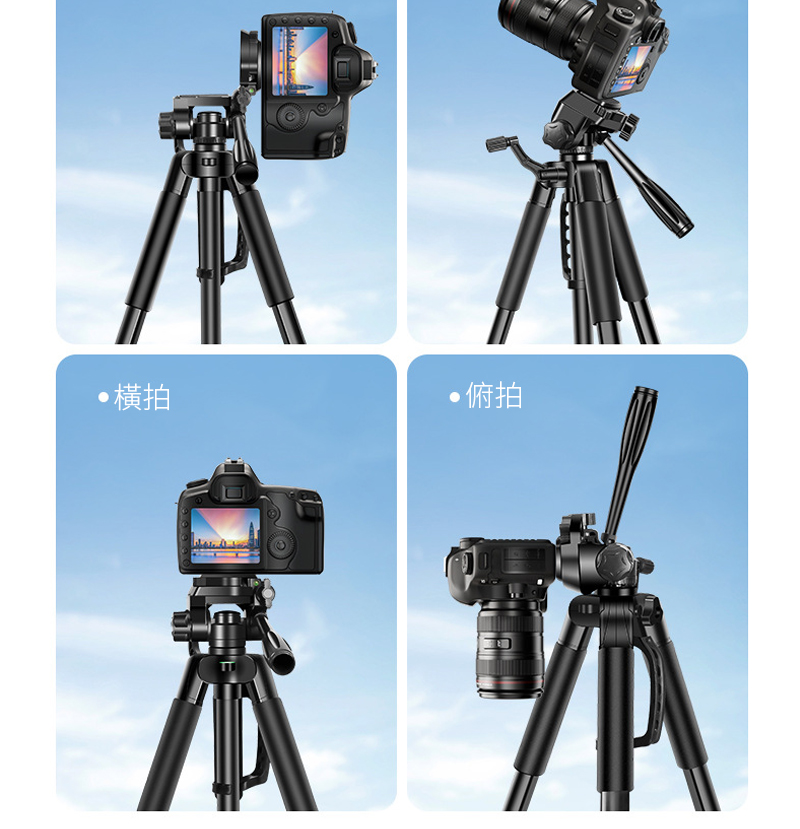 ä¿¯æ æ©«æ 