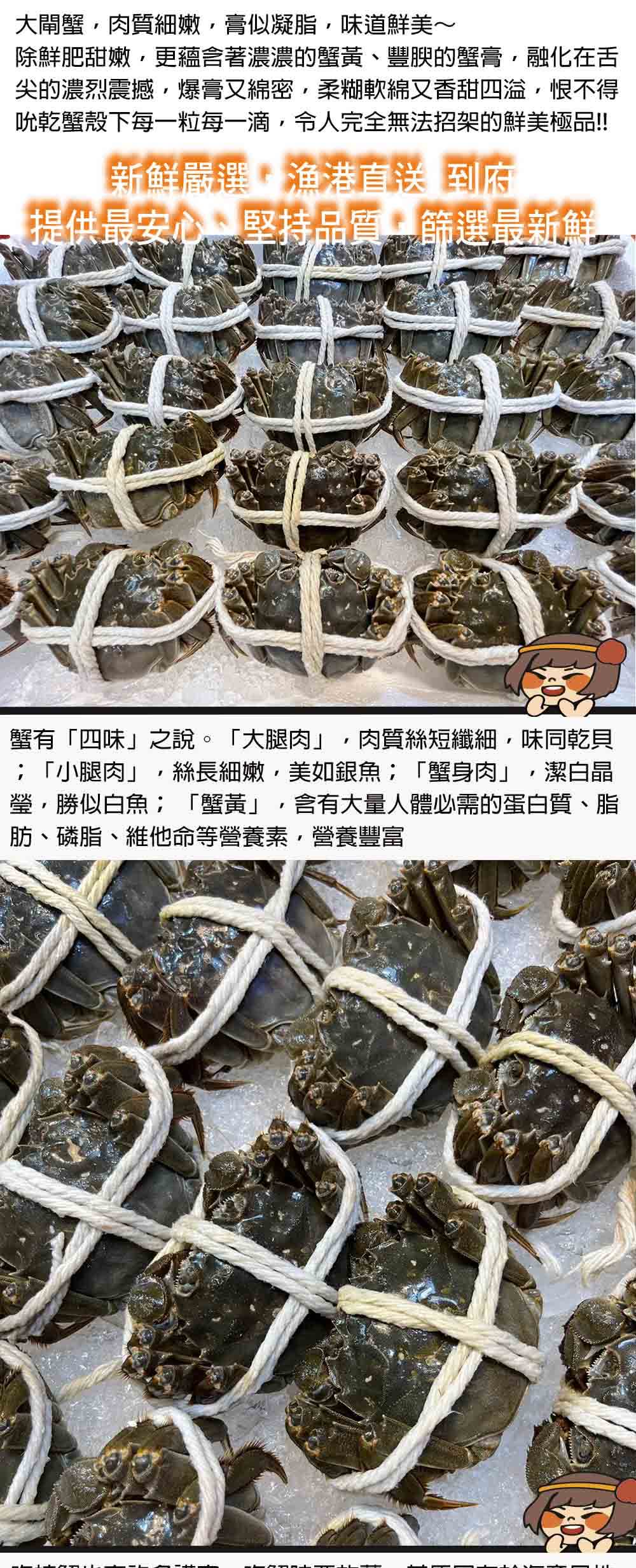 華得水產 保證活蟹直送嚴 江蘇大閘蟹(12隻_4-4.5兩/