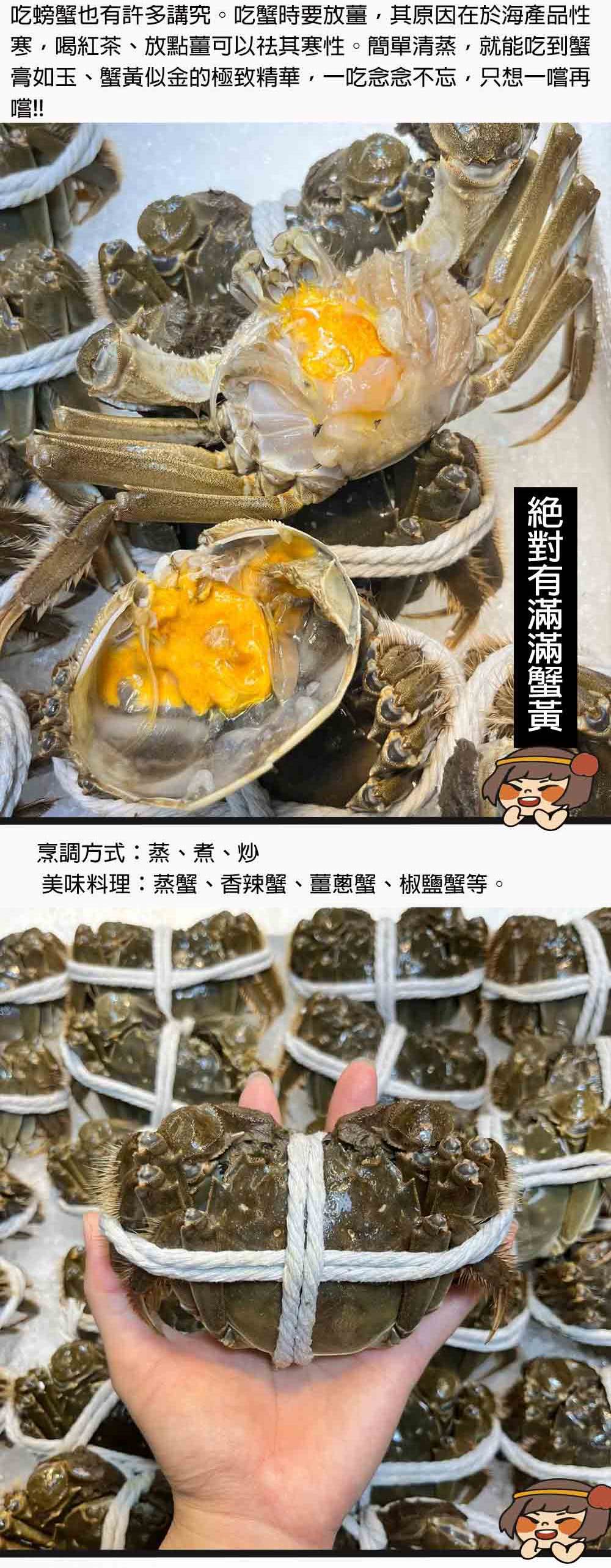 華得水產 保證活蟹直送嚴 江蘇大閘蟹(12隻_4-4.5兩/