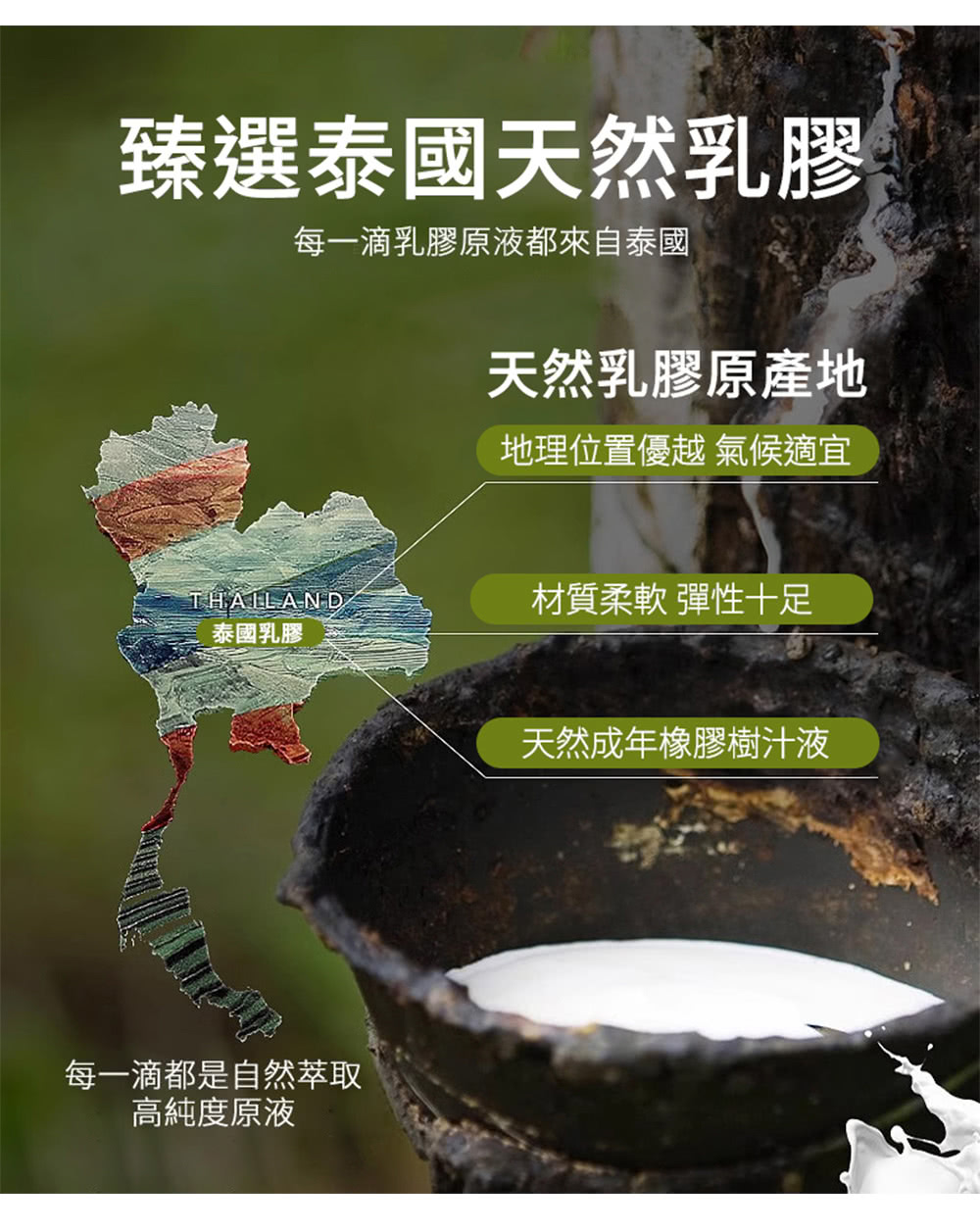 每一滴乳膠原液都來自泰國