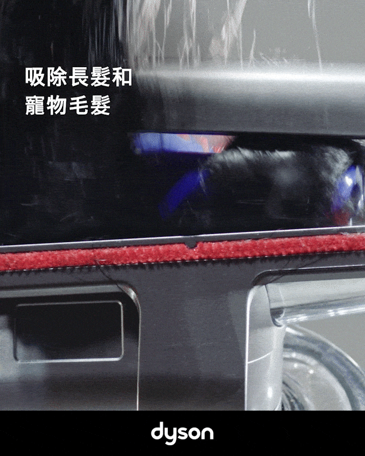 吸除長髮和 寵物毛髮 