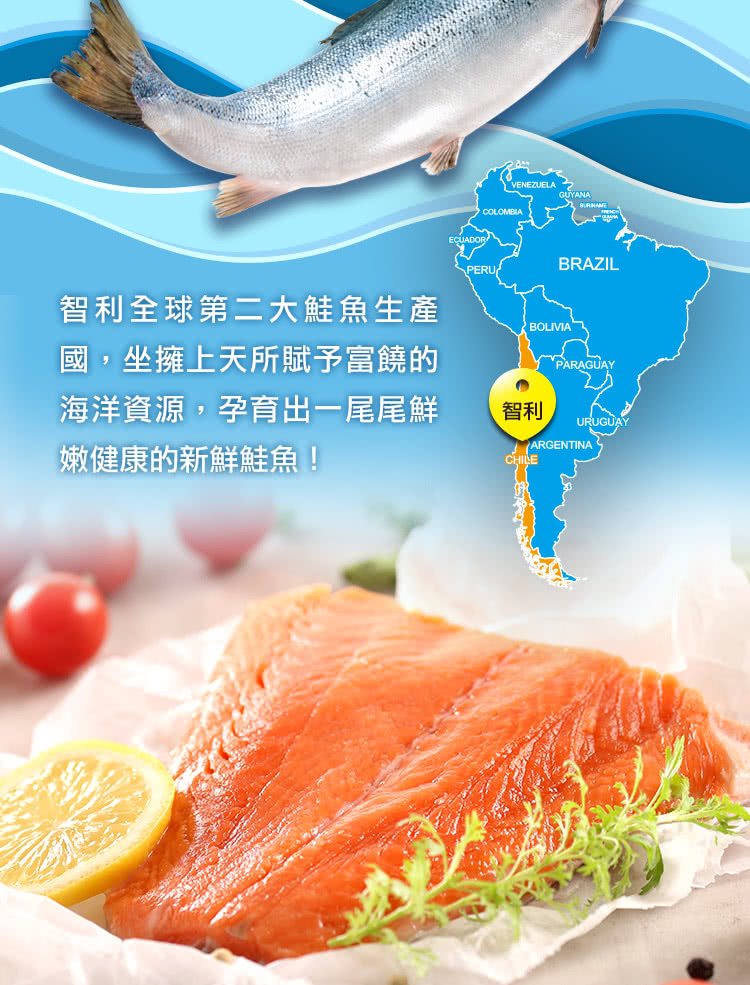 北村漁家 智利南冰洋鮭魚清肉排180克x15包 推薦