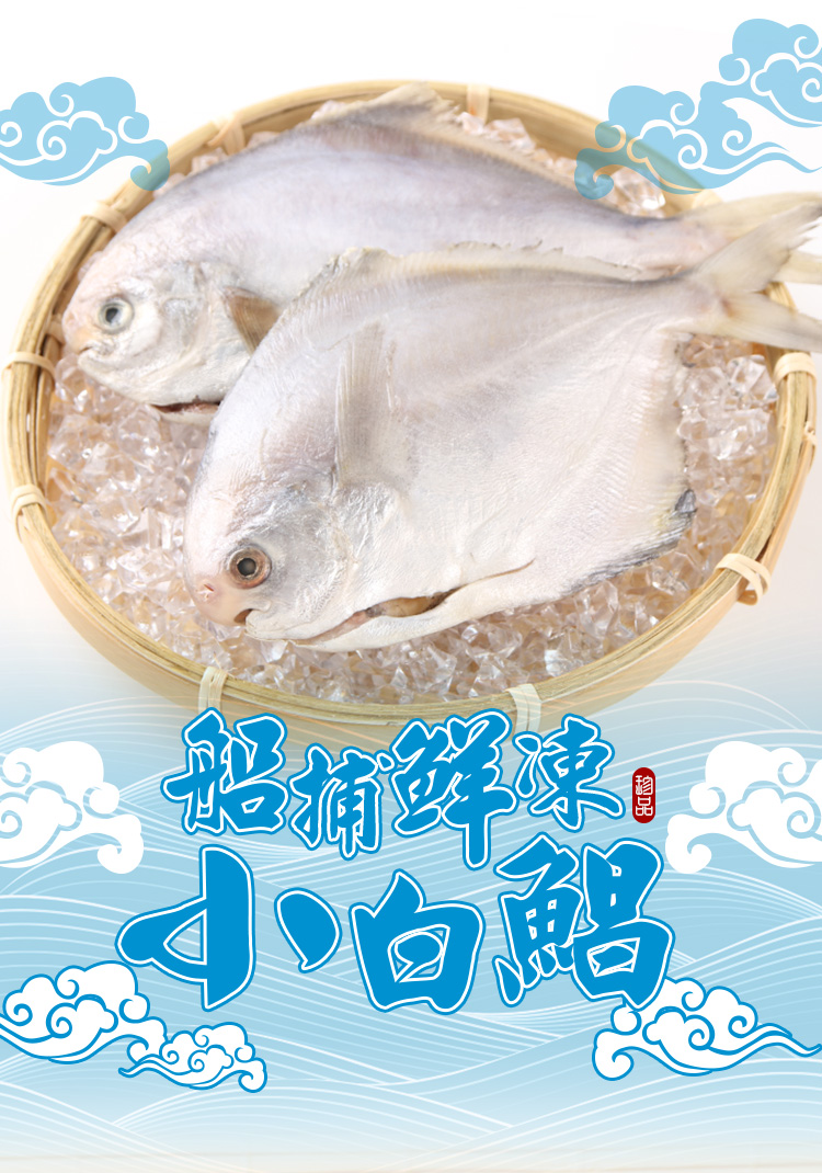 北村漁家 深海野生活凍小白鯧10尾(100-150g/尾)品