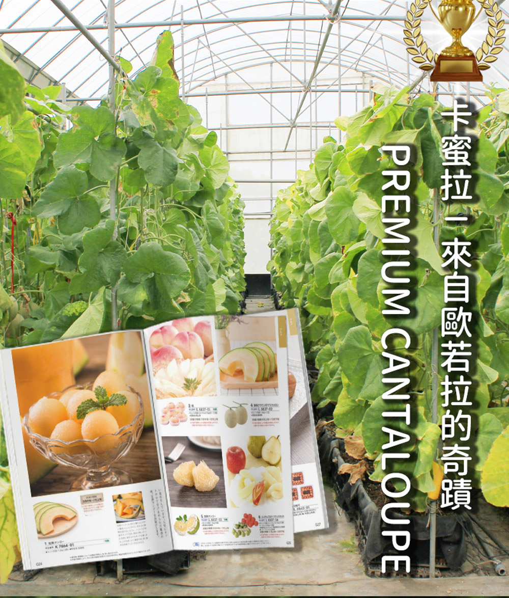 卡蜜拉來自歐若拉的奇蹟 