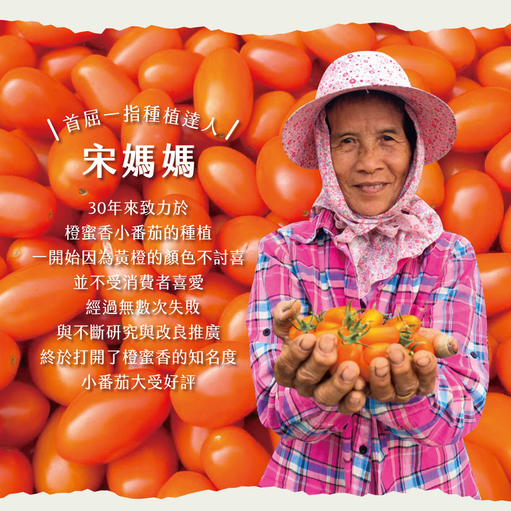 初品果 宋媽媽橙蜜香小番茄淨重5斤x6盒(淨重5斤_產銷履歷
