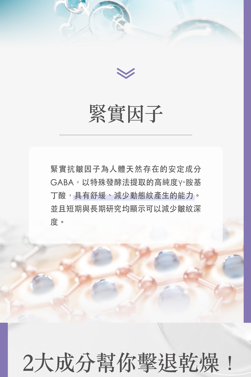 GABA,以特殊發酵法提取的高純度Y胺基