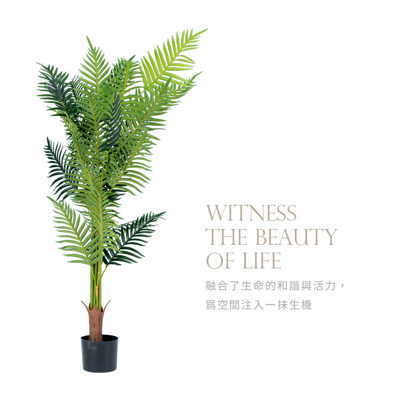 èåäºçå½çåè«§èæ´»å, çºç©ºéæ³¨å¥ä¸æ¹çæ© 