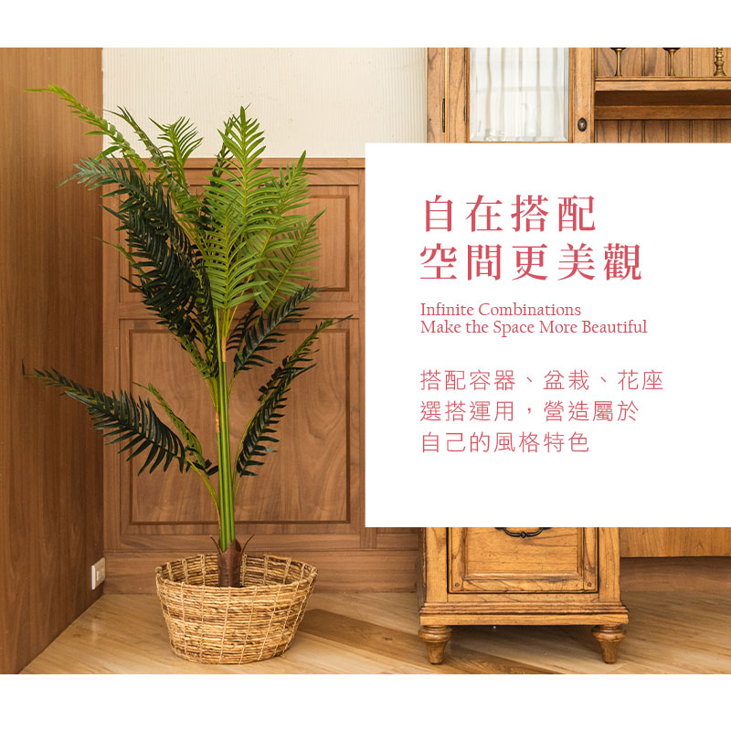 èªå¨æ­é ç©ºéæ´ç¾è§ æ­éå®¹å¨ãçæ ½ãè±åº§ é¸æ­éç¨,çé å±¬æ¼ èªå·±çé¢¨æ ¼ç¹è² 