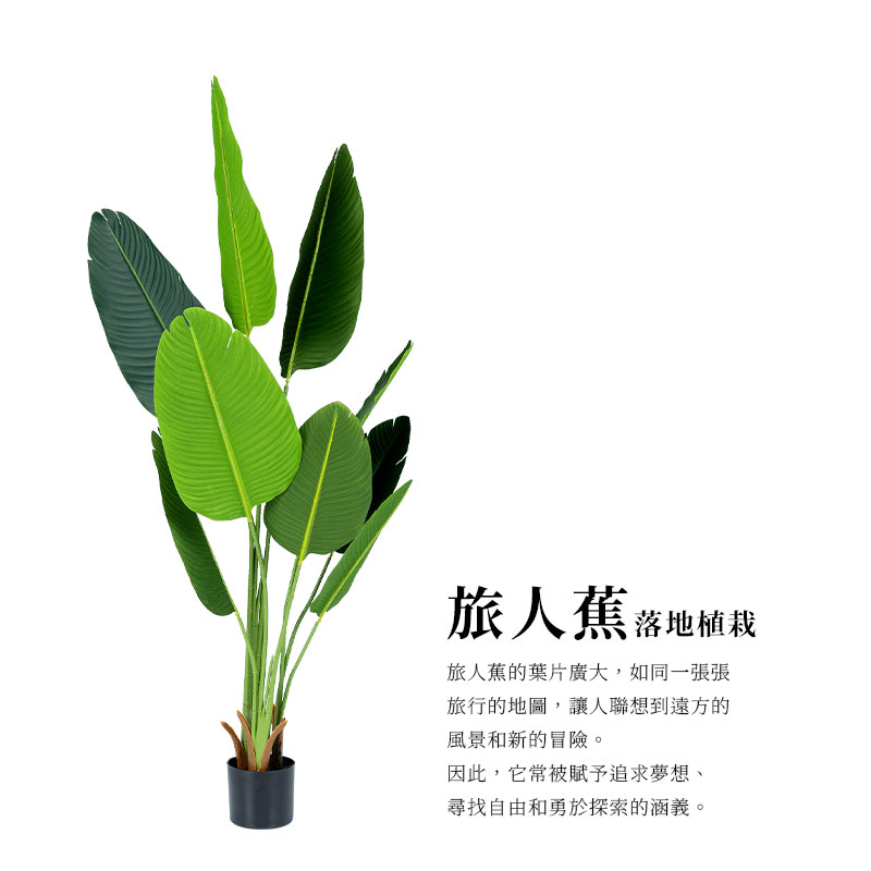 æäººèçèçå»£å¤§,å¦åä¸å¼µå¼µ