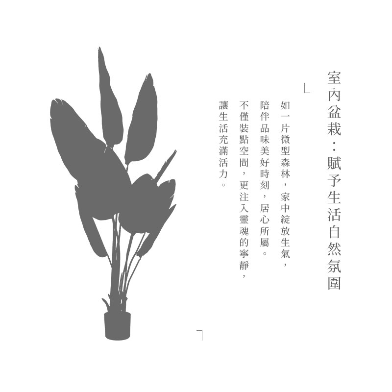 å®¤å§çæ ½è³¦äºçæ´»èªç¶æ°å å¦ä¸çå¾®åæ£®æ,å®¶ä¸­ç¶»æ¾çæ°£ éªä¼´åå³ç¾å¥½æå»,å±å¿æå±¬ã ä¸åè£é»ç©ºé,æ´æ³¨å¥éé­çå¯§é, è®çæ´»åæ»¿æ´»åã 