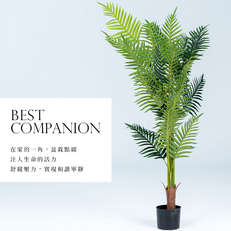 å¨å®¶çä¸è§,çæ ½é»ç¶´ æ³¨å¥çå½çæ´»å èç·©å£å,å¯¦ç¾åè«§å¯§é 